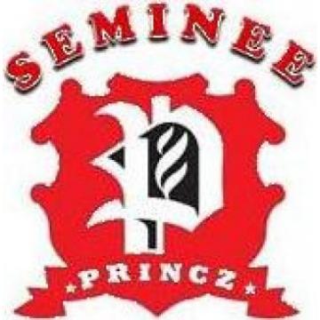 Seminee Princz Srl
