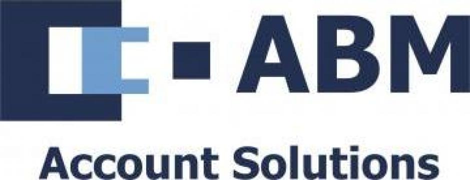 Contabilitate financiara completa de la Abm Account Solutions Srl