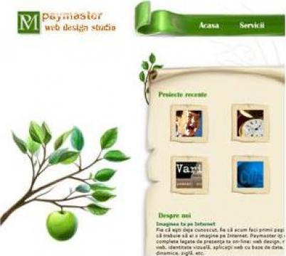 Site web de prezentare / magazin virtual de la S.c. Paymaster S.r.l.
