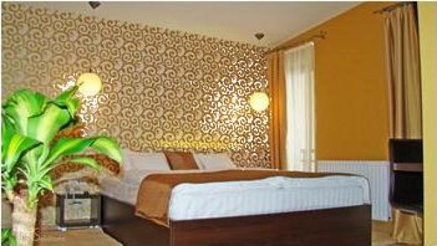 Cazare Hotel Ramina 3* Timisoara