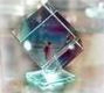 Cadou Cub din cristal de la S.c. Vetarsina S.r.l.