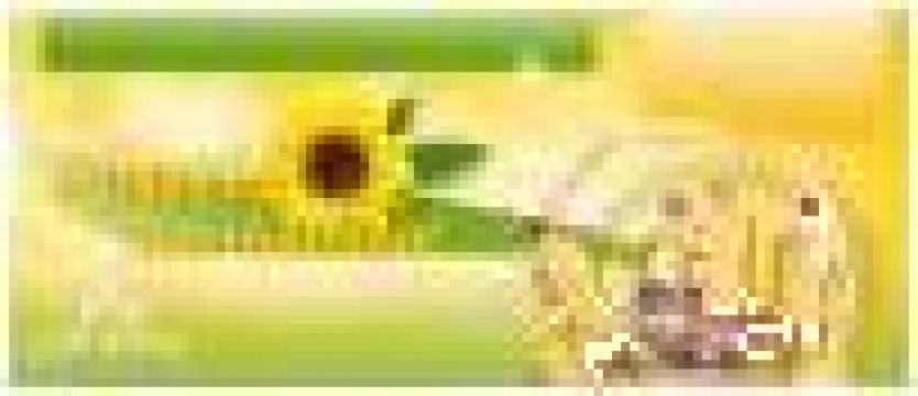 Seminte floarea soarelui, rapita de la Andras Trade Romania
