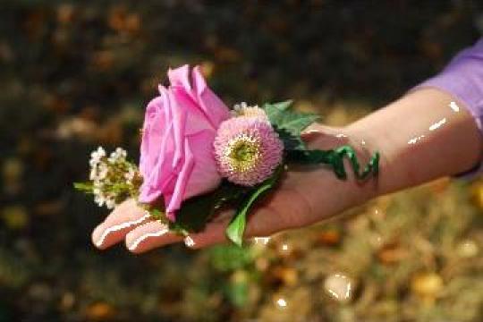 Corsaj cu trandafir, frezie si trachelium de la Flora Lux