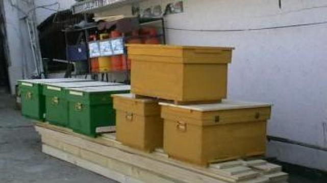 Stupi pentru albine de la II. Rotariu Constantin