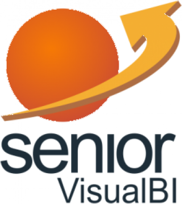 Aplicatie software SeniorVisualBI