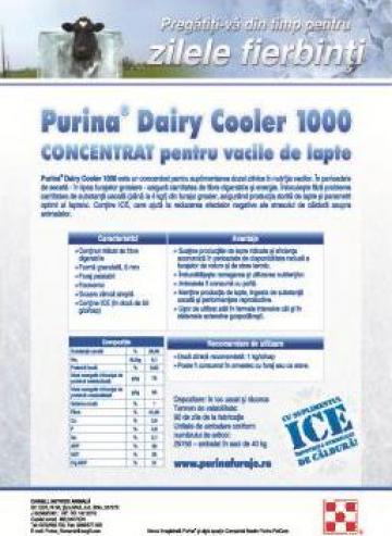 Concentrat furaj vaci de lapte Dairy Cooler 1000 de la Cargill Nutritie Animala