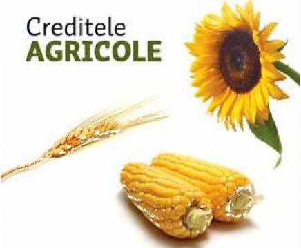 Credit agricol