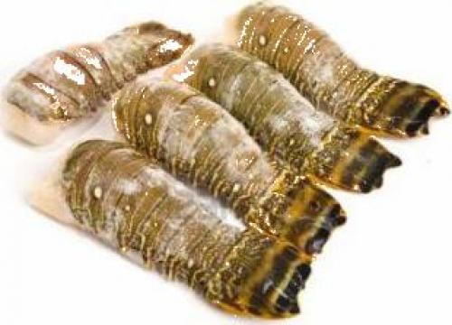 Cozi de homari / languste 12-14 OZ (330-400 gr/bucata)