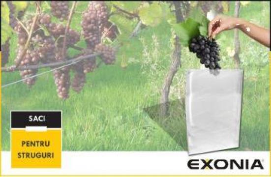 Saci polietilena pentru struguri si fructe de la Fabrica De Ambalaje Exonia Holding SRL