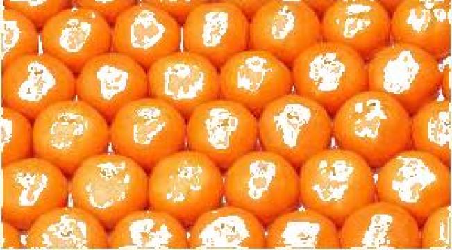 Portocale si mandarine