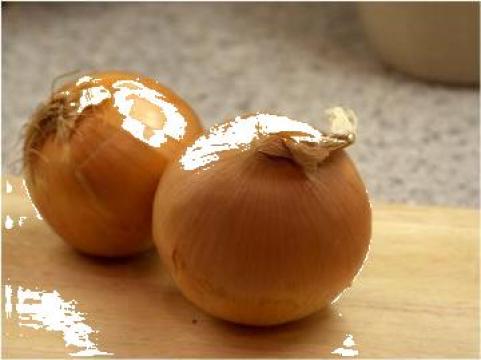 Ceapa Onion yellow