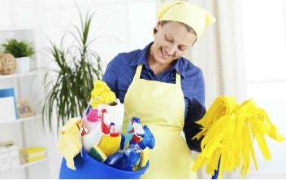 Curatenie la domiciliu de la Premier Cleaning