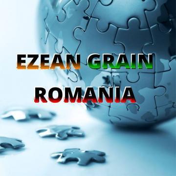 Cereale de la Ezean Grain Romania
