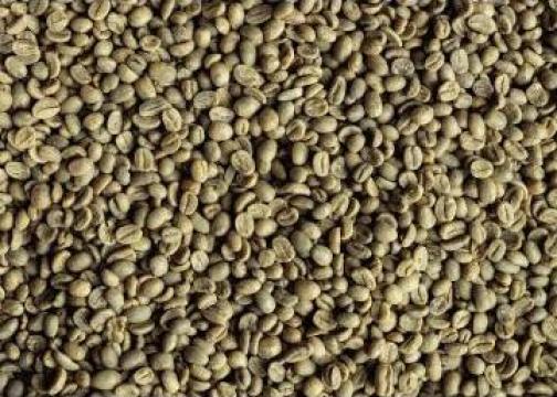 Cafea verde Nicaragua Jinotega 19/20, Arabica 100% de la Kestar Coffee Srl