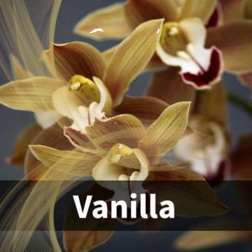 Odorizant cu aroma - Vanilla de la Qcar