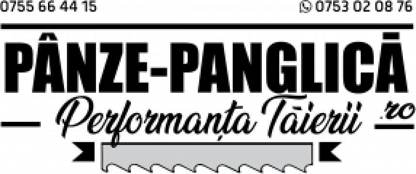 Panza 2645x27x4/6 fierastrau panglica metal Bernardo MBS 290 de la Panze Panglica Srl