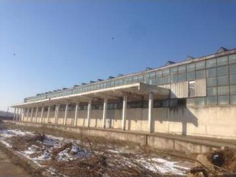 Inchiriere hale industriale Hunedoara, Orastie de la Romglob Invest Srl