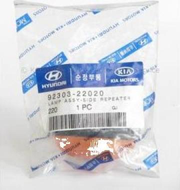 Semnal lateral fata stanga Hyundai Atos 92303-22020