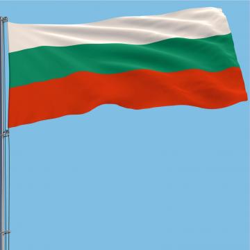 Steag Bulgaria de la Color Tuning Srl