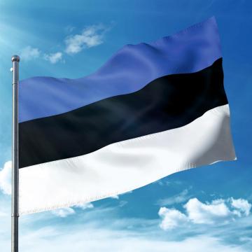 Steag Estonia de la Color Tuning Srl
