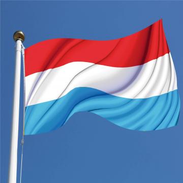 Steag Luxemburg de la Color Tuning Srl