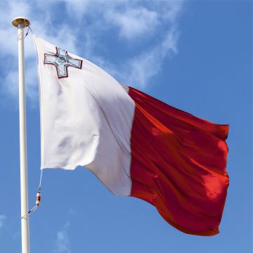 Steag Malta de la Color Tuning Srl