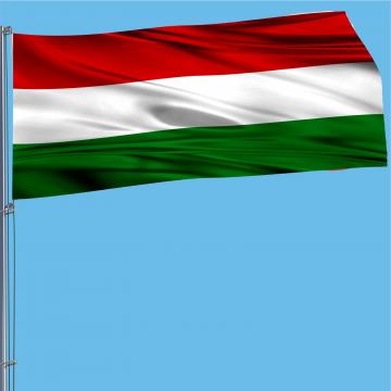 Steag Ungaria de la Color Tuning Srl