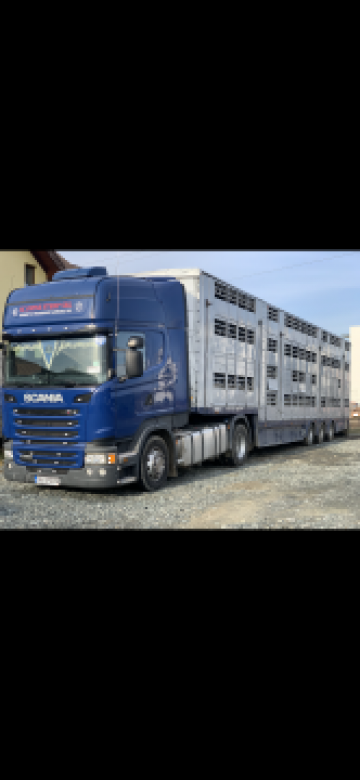 Transport de animale vii de la Ovine Sterp Srl