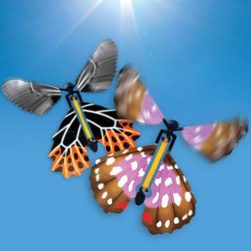 Jucarie Fluture din hartie cu banda elastica de la Plasma Trade Srl (happymax.ro)