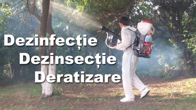Dezinsectie, dezinfectie, deratizare Bucuresti, Ilfov de la Polimarket YBS Srl