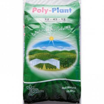 Ingrasamant Poly Plant 12.43.12 +ME 22,5kg de la Valvio Prod Srl.