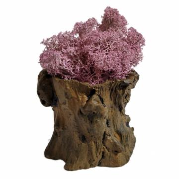Aranjament licheni ghiveci decorativ multicolor M7 de la Decor Creativ