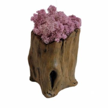 Aranjament licheni ghiveci decorativ roz M8