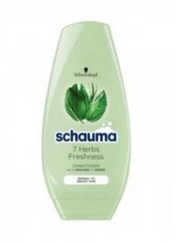 Balsam de par Schauma 7 Herbs Freshness, 250ml de la Supermarket Pentru Tine Srl
