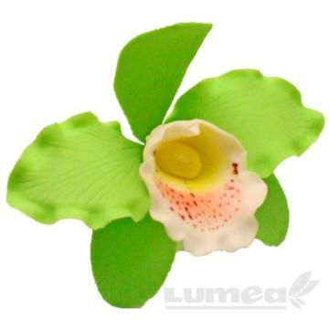 Orhideea cattleya XL vernil din pasta de zahar de la Lumea Basmelor International Srl