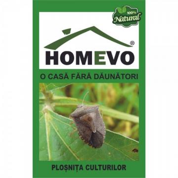 Insecticid Homevo - Diatomee Plosnita Culturilor 50 gr. de la Impotrivadaunatorilor.ro