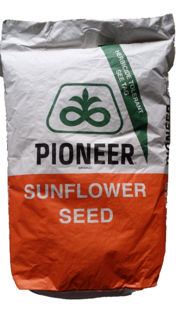Seminte floarea soarelui Pioneer sac 150.000 boabe P64LE162 de la Acvilanis Grup Srl