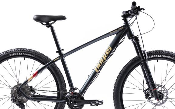 Bicicleta MTB Pegas Drumet Pro M 29'' gri carbon