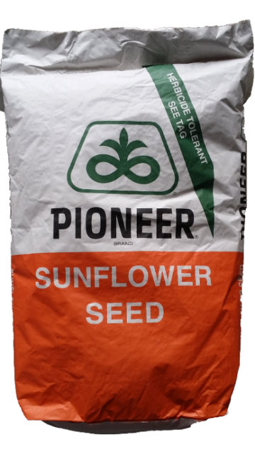 Seminte floarea soarelui Pioneer P64LE162 sac 150.000 boabe de la Acvilanis Grup Srl