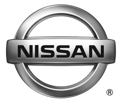 Vopsea auto Nissan preparata la culoarea masinii de la Torci Auto Aliment Srl