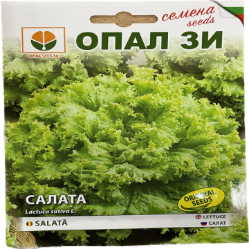 Seminte salata creata 2 gr, OpalZi Bulgaria de la Loredo Srl