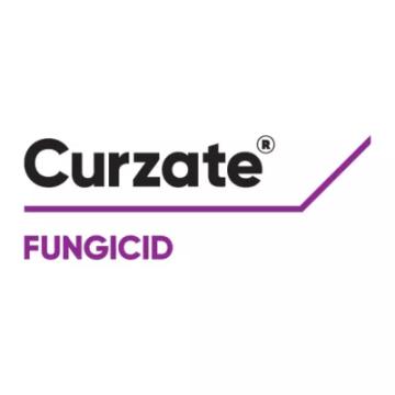 Fungicid Curzate, 1 L, Corteva de la Dasola Online Srl