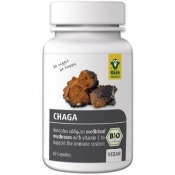 Supliment alimentar Chaga bio 400mg, 80 capsule vegane RAAB de la Supermarket Pentru Tine Srl