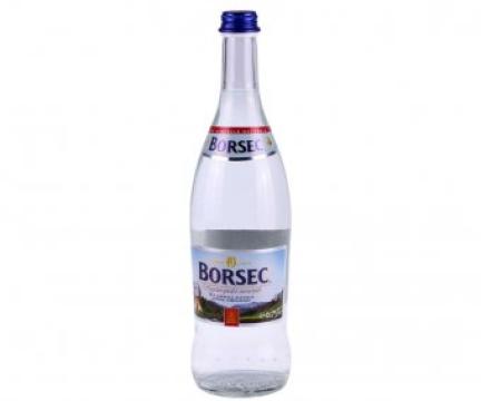 Apa minerala Borsec 0.75l sticla SGR