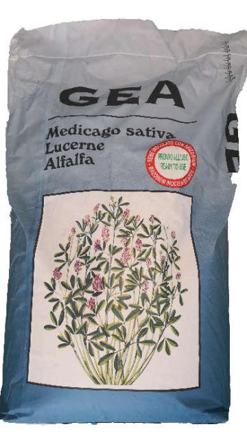 Seminte certificate Lucerna GEA+ 25kg, C1, Drajata de la Acvilanis Grup Srl