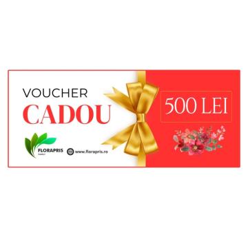 Voucher cadou 500 lei de la Florapris Family S.r.l.