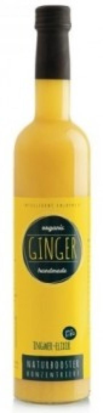 Elixir de ghimbir bio 500ml Retter