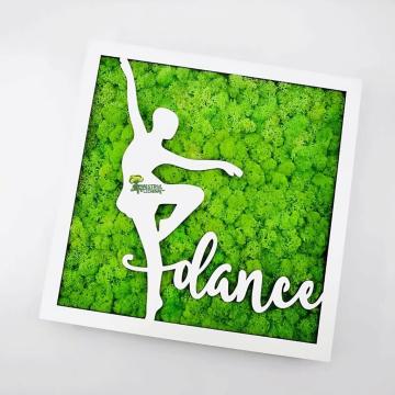 Tablou Balerina/ Dance decorat cu licheni naturali