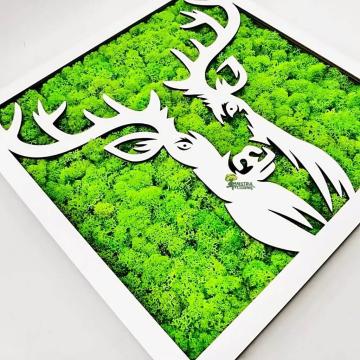 Tablou Cerb decorat cu licheni
