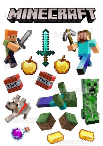 Vafa tort Minecraft si accesorii